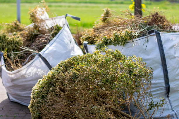 Best Yard Waste Removal  in Cleary, MS